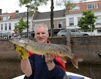 Dit formaat snoek doet het goed op een lichte hengel en dunne lijn