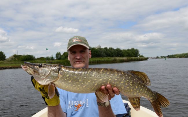 Een mooie snoek van 85 cm aan een grote shad