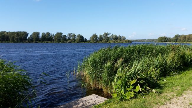 Een stek op sector Shimano