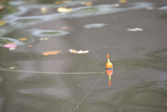 De Trolling Float van Fox loopt mooi achter de boot aan