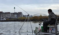feedervissen_thumb_204x120