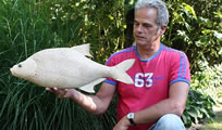 houtenvissen_thumb_204x120