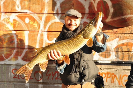 snoek