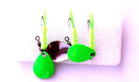 forel_spinners_204