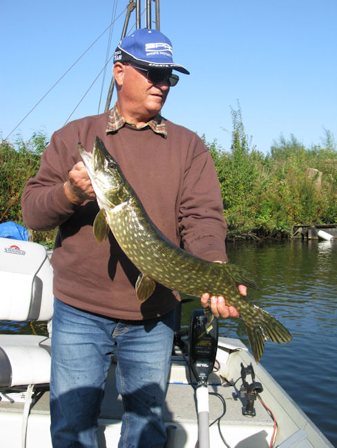 snoek
