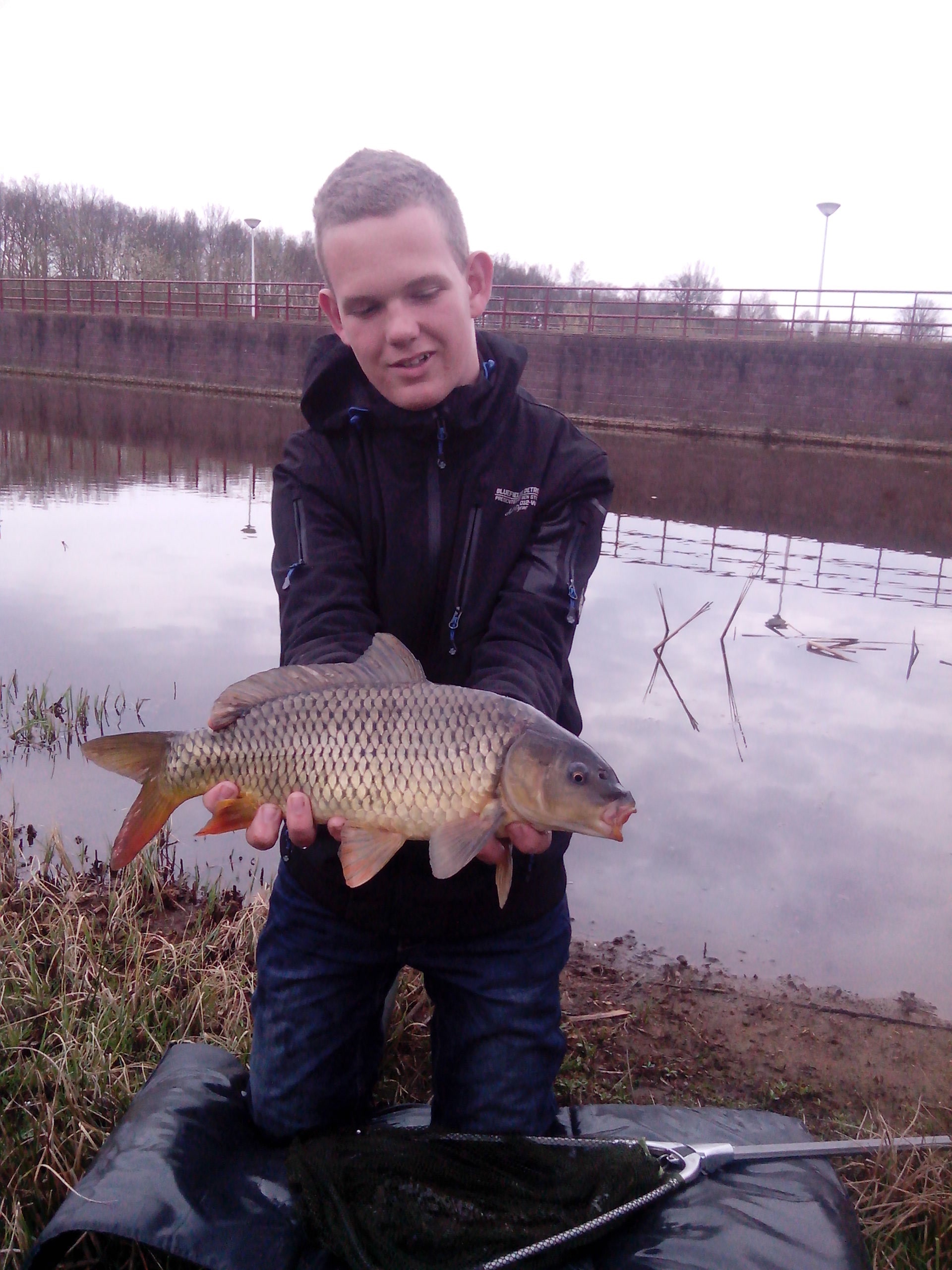 karper_ong_50cm_1e_nieuwelanden1_17-4-13